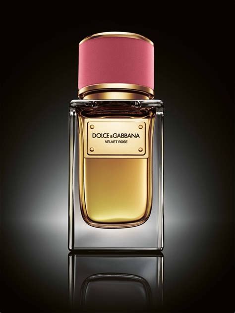 dolce and gabbana desire perfume|velvet rose dolce and gabbana.